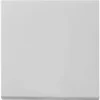 GIRA Wippe Für Wippschalter Und Wipptaster System 55 7