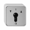 GIRA AP/WD SCHLSSELTASTER 0163 30 5