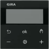 Gira S3000 RTR DISPLAY SYS55 SW M (SYSTEM 55) 5