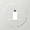 Gira Zentralplatte TAE Rws 027640 7