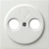 Gira Zentralplatte Antenne Rws 086940 7