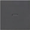 Gira Wippe Anth 029028 5