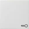 Gira Wippe Schlüssel Rws 028727 5