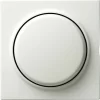 Gira Wechsel-Taster Rws 013040 5