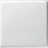 Gira Wippe Wechselsch. Rws-gl 029603 7