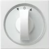 Gira Zentralplatte Rws-gl 066603 5