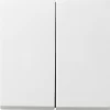 Gira Tast-Serienschalter Rws-gl 0125112 10